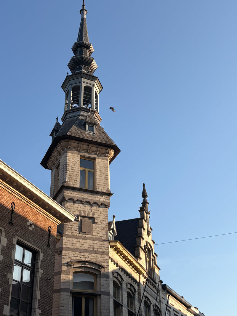Moment onderweg tijdens de Diestories-wandeling door Diest