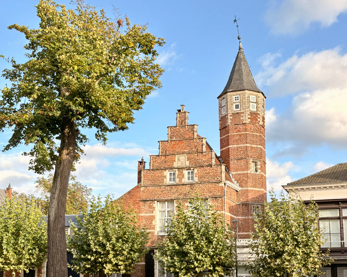 Zicht op het historische stadhuis van Diest met zijn karakteristieke toren, aan het begin van de Diestories-wandeling